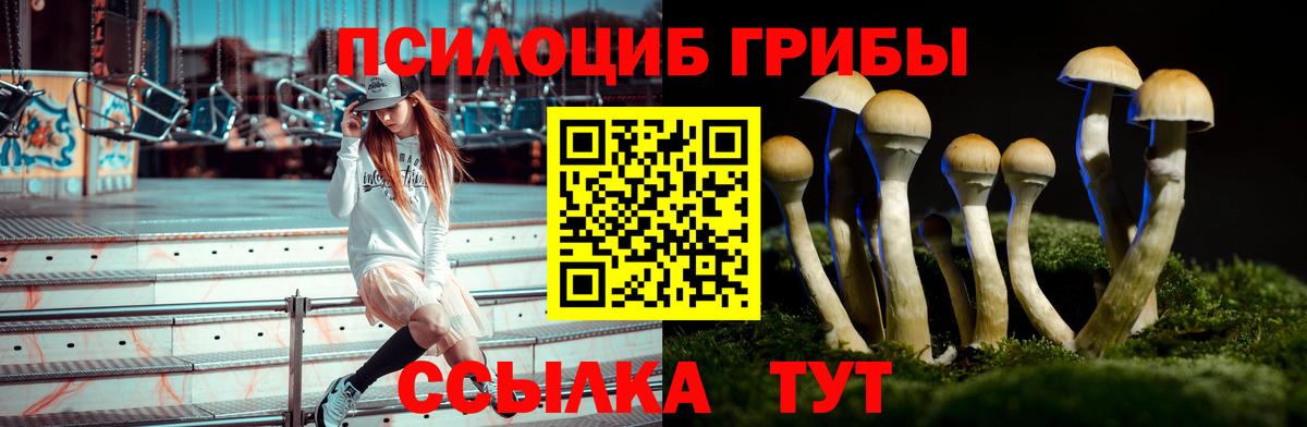 Псилоцибиновые грибы прущие грибы Фролово