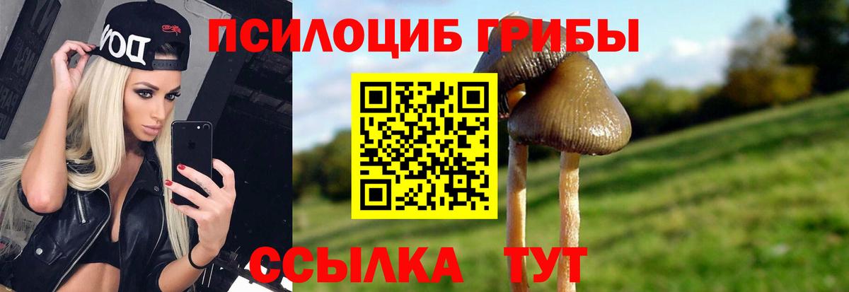 Галлюциногенные грибы MAGIC MUSHROOMS  Вход с VPN  Фролово 